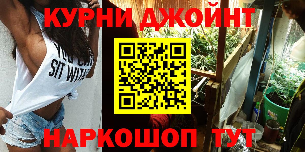 Каннабис сатива Кузнецк